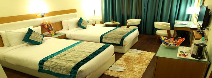 1251/Hotel Ramhan Palace Mahipalpur - New Delhi 07.jpg